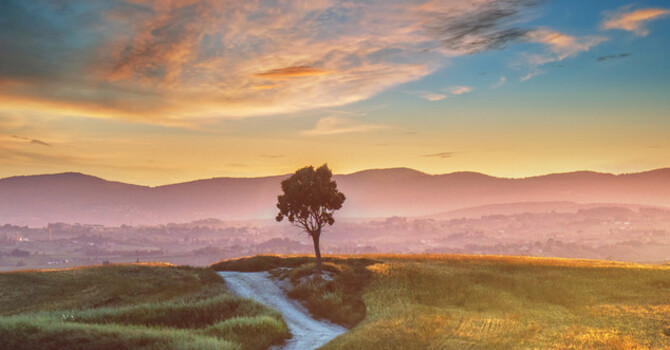 Healing Isn’t Always a Straight Line and That’s OK. image