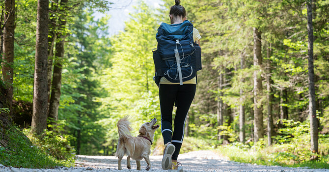 Knee Pain? Here’s How Acupuncture Can Help You Keep Moving image